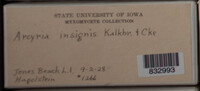 Image Associated With the Occurence